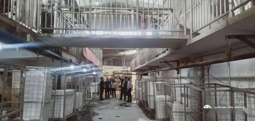 綠色包裝與節能保溫材料項目成功簽約，金屬裝飾材料零售市場迎新機
